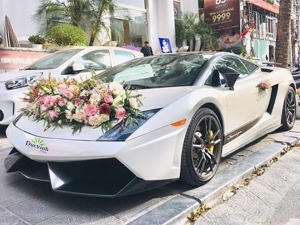 Cho thuê siêu xe Lamborghini Gallardo trắng Cho thuê siêu xe Lamborghini Gallardo trắng